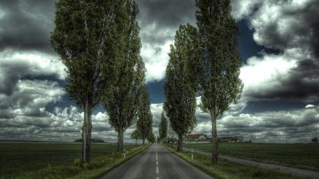 Serene Road Through Lush Greenery and Dramatic Skies wallpaper
