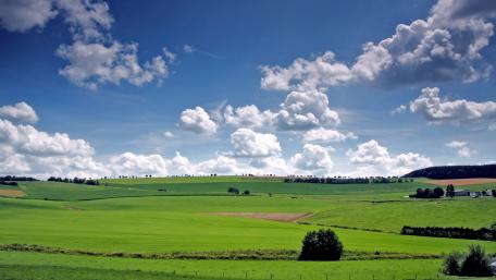 Vast Green Fields Under a Beautiful Sky wallpaper