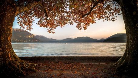 Autumn Serenity by the Lakeside wallpaper
