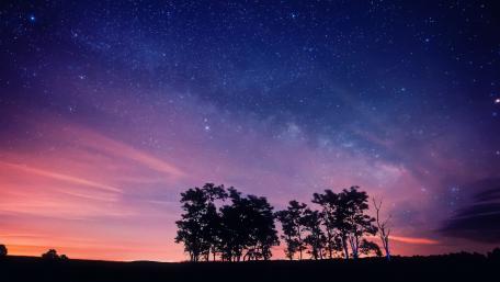 Majestic Night Sky Over Silhouette Trees wallpaper