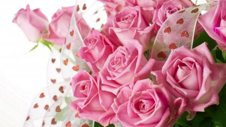 Pink Roses with Heart Ribbon Delight wallpaper