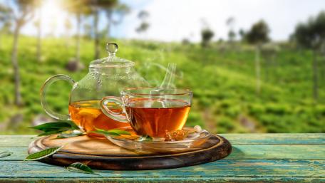 Serene Tea Time in Nature's Embrace wallpaper