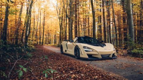 Autumn Serenity with a Stunning Sports Car wallpaper