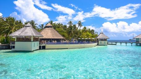 Tropical Paradise by Crystal Clear Waters wallpaper