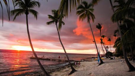 Tropical Evening Serenity in Paradise wallpaper