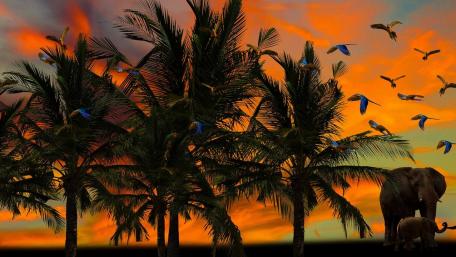 Majestic Sunrise Over Tropical Wilderness wallpaper