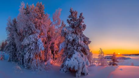 Winter Wonderland at Dawn wallpaper