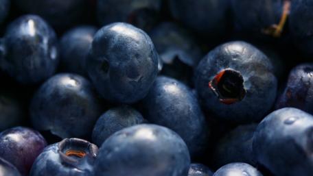 Fresh Blueberries for a Healthy Snack Delight wallpaper