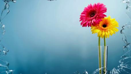 Vibrant Blooming Flowers in a Broken Vase Scene wallpaper