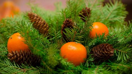 Festive Oranges Surrounded by Nature’s Beauty wallpaper