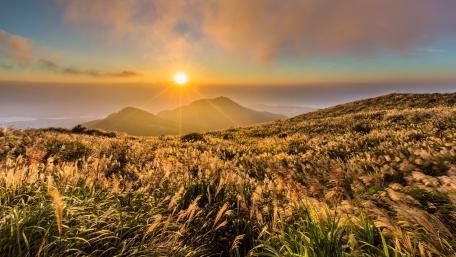 Serene Sunrise Over Rolling Hills and Golden Grasses wallpaper