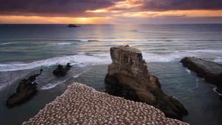 Majestic Coastal Sunset Over Rocky Outcrop wallpaper