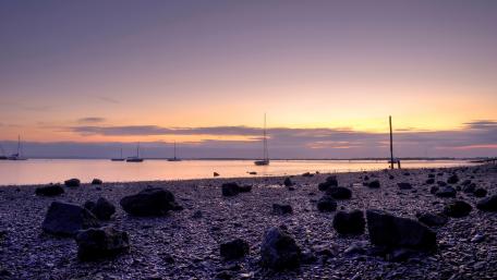 Serene Evening by the Shoreline wallpaper