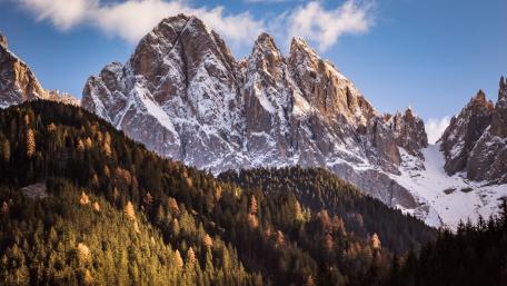 Majestic Snow-Capped Peaks Over Verdant Forests wallpaper