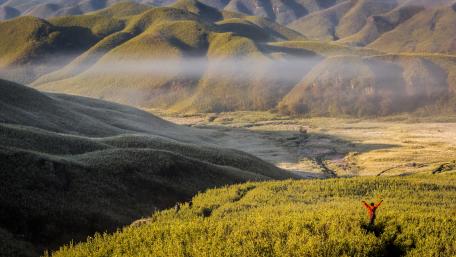 Majestic Hills in Morning Mist wallpaper