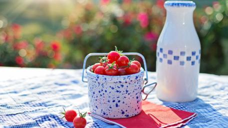Fresh Tomatoes in a Charming Setting wallpaper