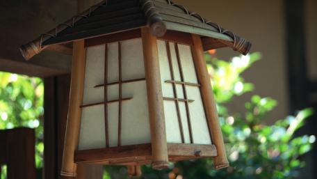 Tranquil Bamboo Lantern in Natural Light wallpaper