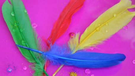 Vibrant Feathers on a Pink Canvas wallpaper