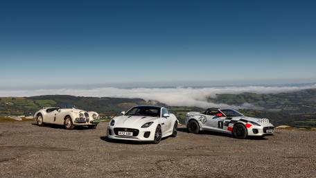 Classic and Modern Cars in Stunning Landscape View wallpaper