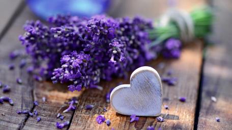 Lavender Love and Heartfelt Moments wallpaper