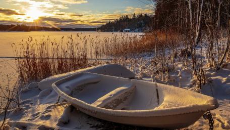 Winter Serenity by the Frozen Lake wallpaper