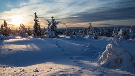 Winter Wonderland at Sunset wallpaper