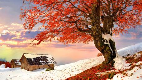 Autumn Serenity in Snowy Landscapes wallpaper