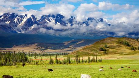 Majestic Mountains and Rolling Meadows View wallpaper