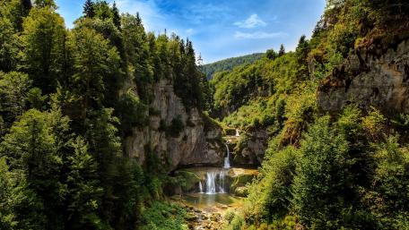 Serene Waterfall in Lush Green Wilderness wallpaper