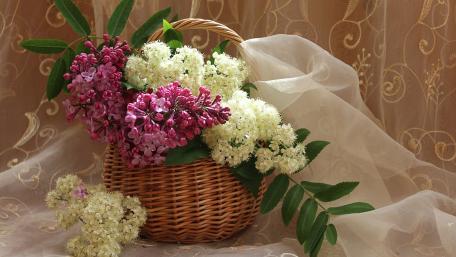 Charming Floral Basket Arrangement for Your Space wallpaper