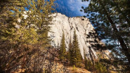Majestic Cliff Surrounded by Pine Trees in Nature's Embrace wallpaper