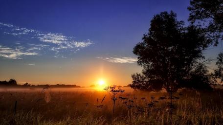 Serene Sunrise Over Misty Fields wallpaper