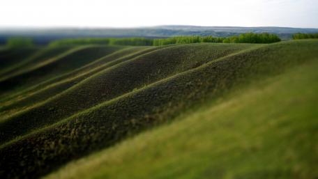 Serene Hillside Landscape of Nature's Beauty wallpaper