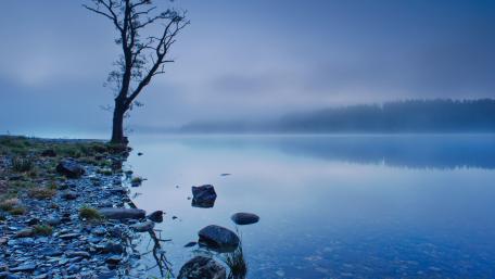 Tranquil Lake at Dawn in Misty Landscape wallpaper