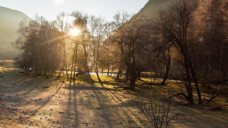 Golden Sunrise in Tranquil Nature Scene wallpaper