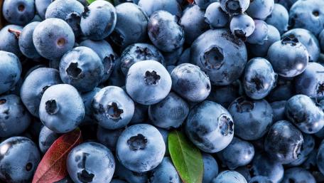 Fresh and Juicy Blueberries for Your Kitchen Decor wallpaper
