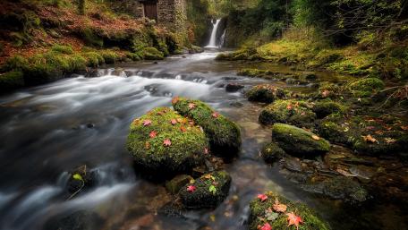 Serene Stream with Autumn Leaves and Cascading Waterfall wallpaper