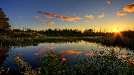 Serene Sunset Over Tranquil Waters wallpaper