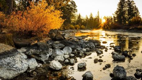 Autumn's Reflection in Tranquil Waters wallpaper