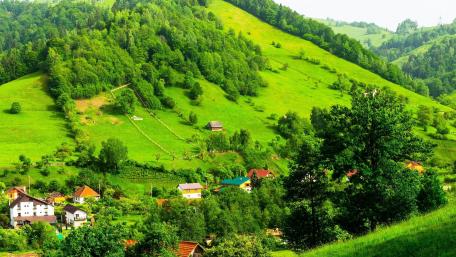 Lush Green Hillside Village Scene wallpaper