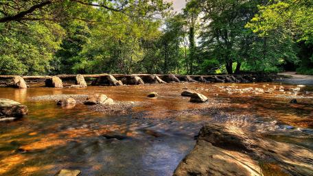 Serene Riverbank Surrounded by Lush Greenery wallpaper