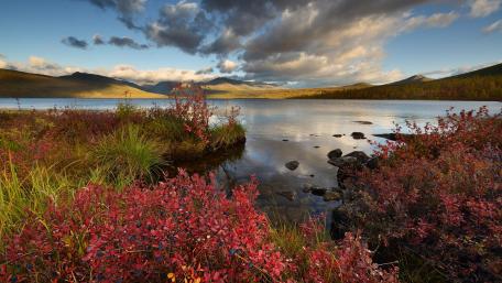 Serene Lake Surrounded by Vibrant Autumn Foliage wallpaper