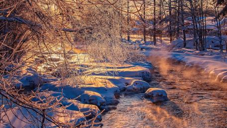 Serene Winter Morning by the River wallpaper