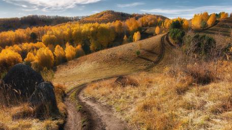 Golden Hills in Autumn Glow wallpaper