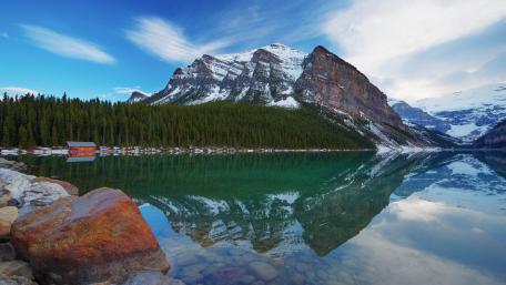 Serenity in Nature's Embrace wallpaper