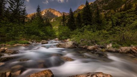 Serene Mountain Stream in Tranquil Wilderness wallpaper