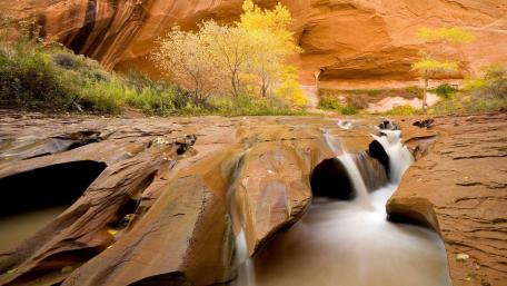Serenity of Nature's Flowing Stream wallpaper