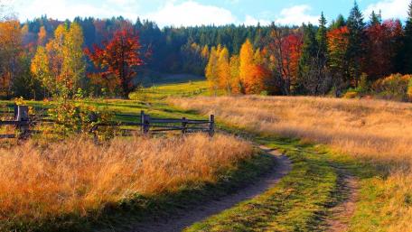 Autumn Bliss in a Serene Landscape wallpaper