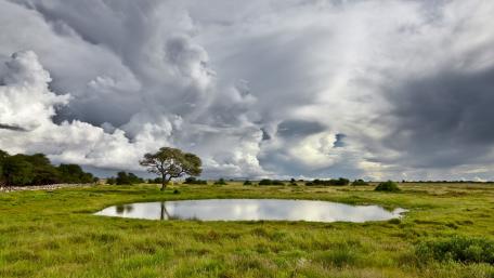 Serene Reflection in Nature's Embrace wallpaper