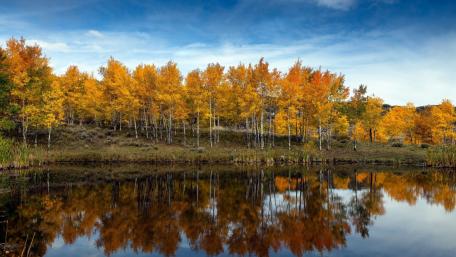 Autumn Serenity in Reflection wallpaper